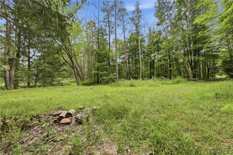 Tiny photo for 10788 Partridge Road, Colden, NY 14080 (MLS # B1702192)
