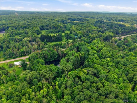 Tiny photo for 10788 Partridge Road, Colden, NY 14080 (MLS # B1702192)