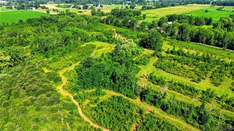 Tiny photo for 00 Barnum Rd Lot #1, Newstead, NY 14001 (MLS # B1705383)