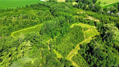 Tiny photo for 00 Barnum Rd Lot #1, Newstead, NY 14001 (MLS # B1705383)