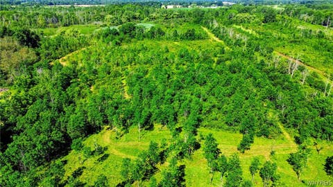 Tiny photo for 00 Barnum Rd Lot #1, Newstead, NY 14001 (MLS # B1705383)