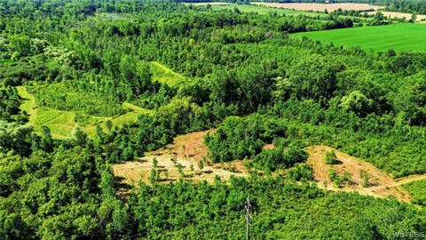 Tiny photo for 00 Barnum Rd Lot #1, Newstead, NY 14001 (MLS # B1705383)