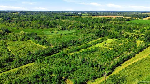 Tiny photo for 00 Barnum Rd Lot #1, Newstead, NY 14001 (MLS # B1705383)