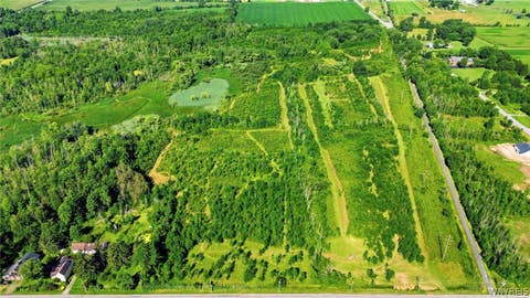 Tiny photo for 00 Barnum Rd Lot #1, Newstead, NY 14001 (MLS # B1705383)