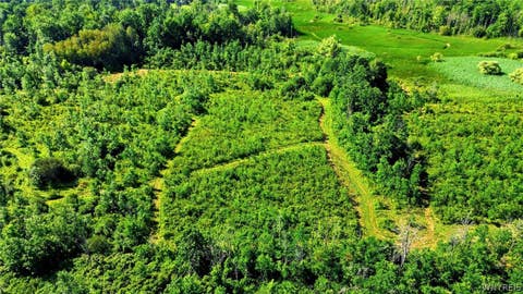 Tiny photo for 00 Barnum Rd Lot #1, Newstead, NY 14001 (MLS # B1705383)