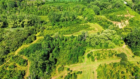 Tiny photo for 00 Barnum Rd Lot #1, Newstead, NY 14001 (MLS # B1705383)
