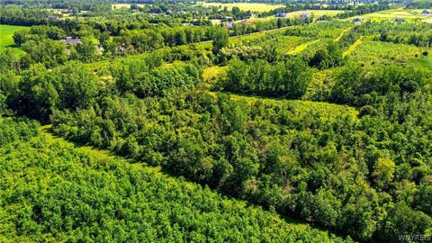 Tiny photo for 00 Barnum Rd Lot #1, Newstead, NY 14001 (MLS # B1705383)