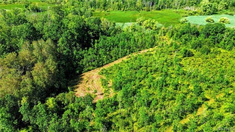 Tiny photo for 00 Barnum Rd Lot #1, Newstead, NY 14001 (MLS # B1705383)