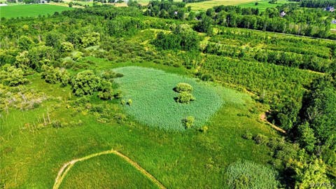 Tiny photo for 00 Barnum Rd Lot #1, Newstead, NY 14001 (MLS # B1705383)