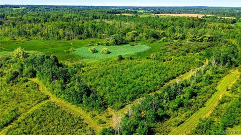 Tiny photo for 00 Barnum Rd Lot #1, Newstead, NY 14001 (MLS # B1705383)
