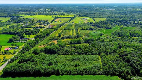 Tiny photo for 00 Barnum Rd Lot #1, Newstead, NY 14001 (MLS # B1705383)