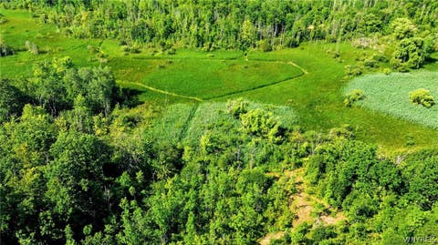 Tiny photo for 00 Barnum Rd Lot #1, Newstead, NY 14001 (MLS # B1705383)