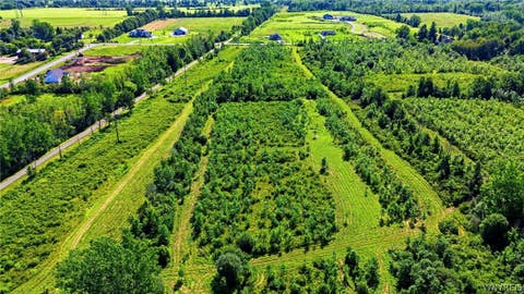 Tiny photo for 00 Barnum Rd Lot #1, Newstead, NY 14001 (MLS # B1705383)