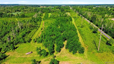 Tiny photo for 00 Barnum Rd Lot #1, Newstead, NY 14001 (MLS # B1705383)