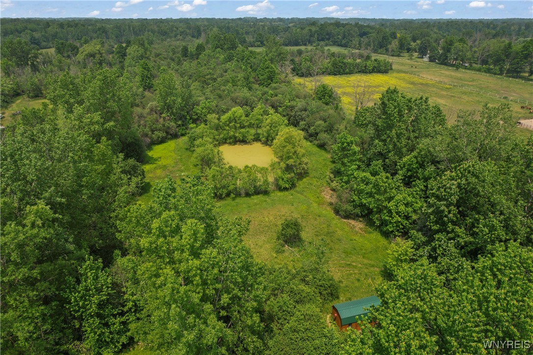 8660 Wolcott Road, Clarence, New York image 6