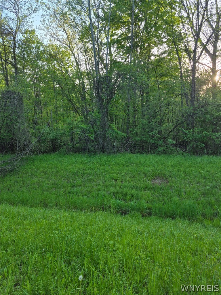7860 Ditch Road