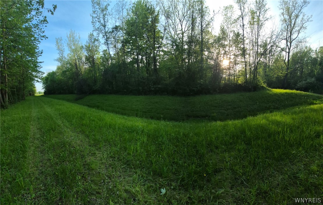 7860 Ditch Road