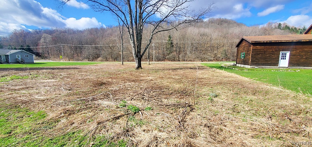 VL Maples Road, Ellicottville, New York image 3