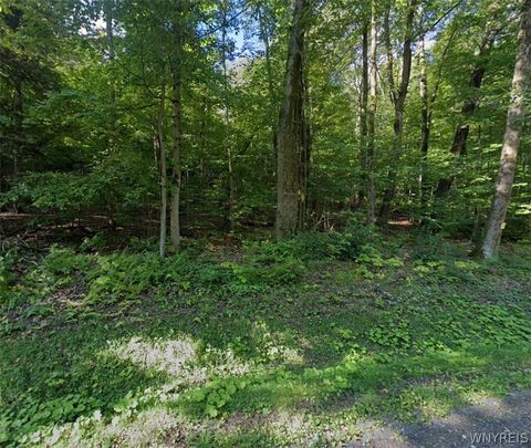 Vacant Land For Sale - 1507 Mill Road<br/> Binghamton, NY 13903