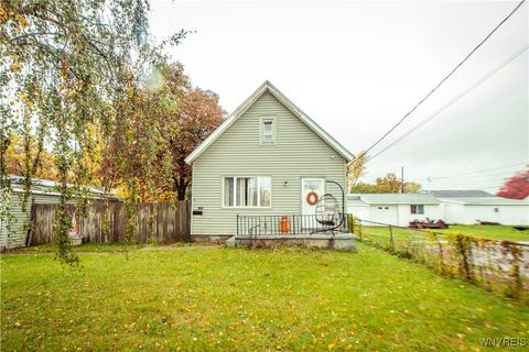 Homes For Sale - 4251 S Park Avenue<br/> Hamburg, NY 14219