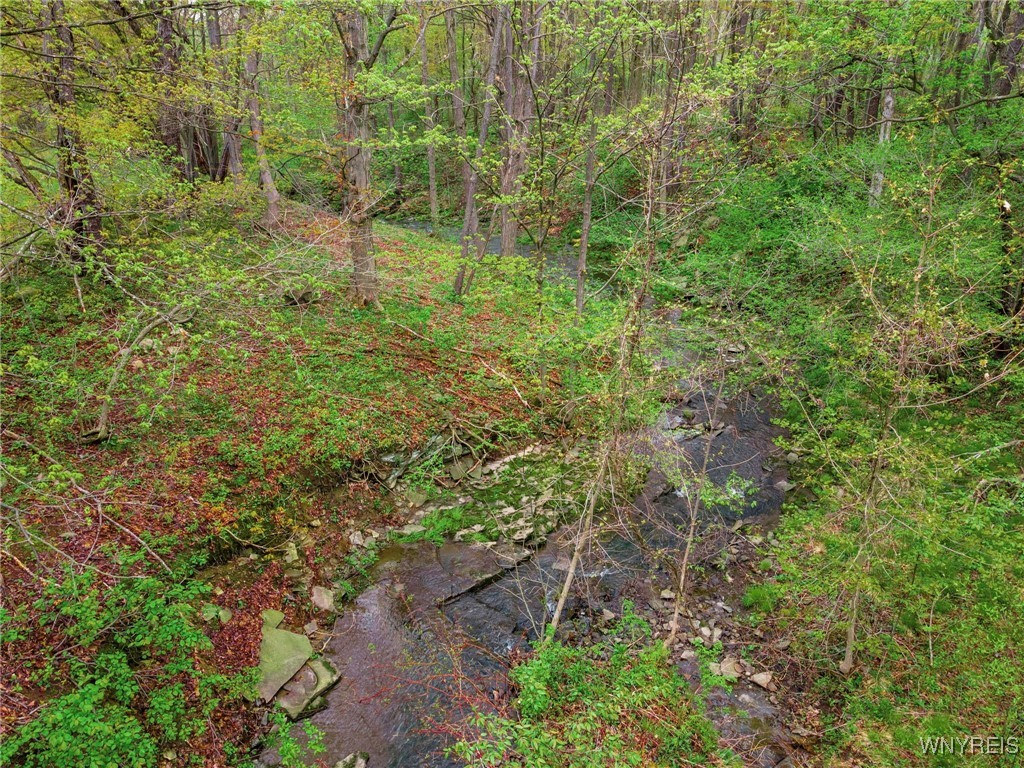 904 Werner Road, Attica, New York image 50