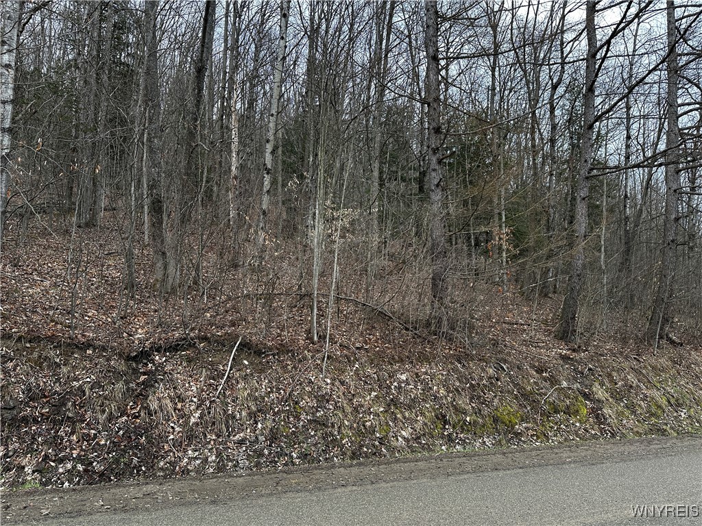 Porter Hollow Road, Great Valley, New York image 12