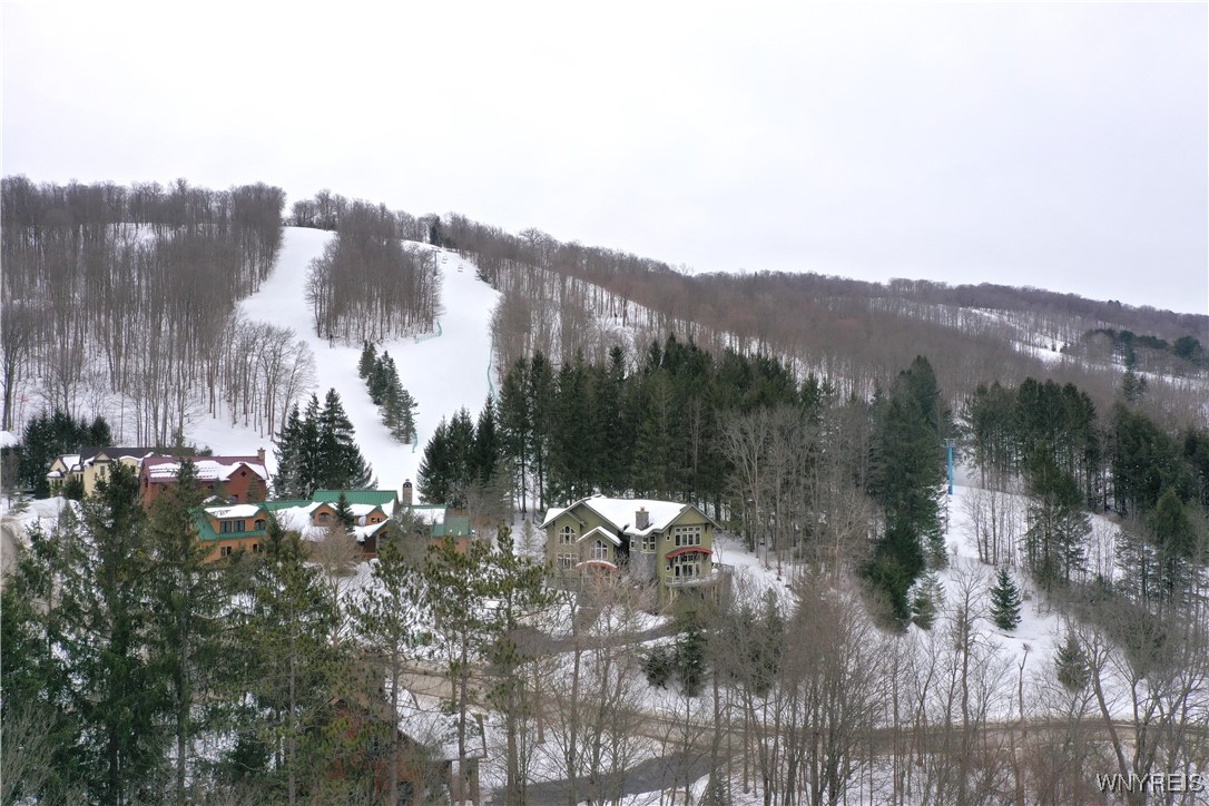 40 W Washington Street, Ellicottville, New York image 42