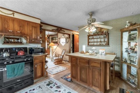 Tiny photo for 484 Dingens Street, Cheektowaga, NY 14206 (MLS # B1684796)