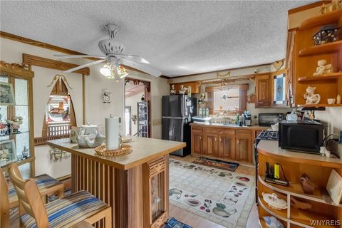 Tiny photo for 484 Dingens Street, Cheektowaga, NY 14206 (MLS # B1684796)