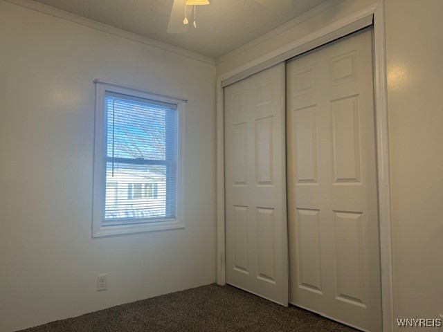 8 N Eaglecrest Drive, Hamburg, New York image 23