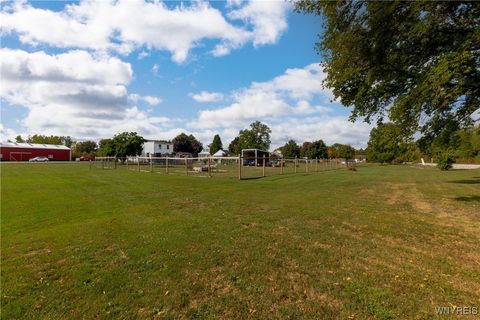 Tiny photo for 7745 Rochester Road, Royalton, NY 14067 (MLS # B1640076)