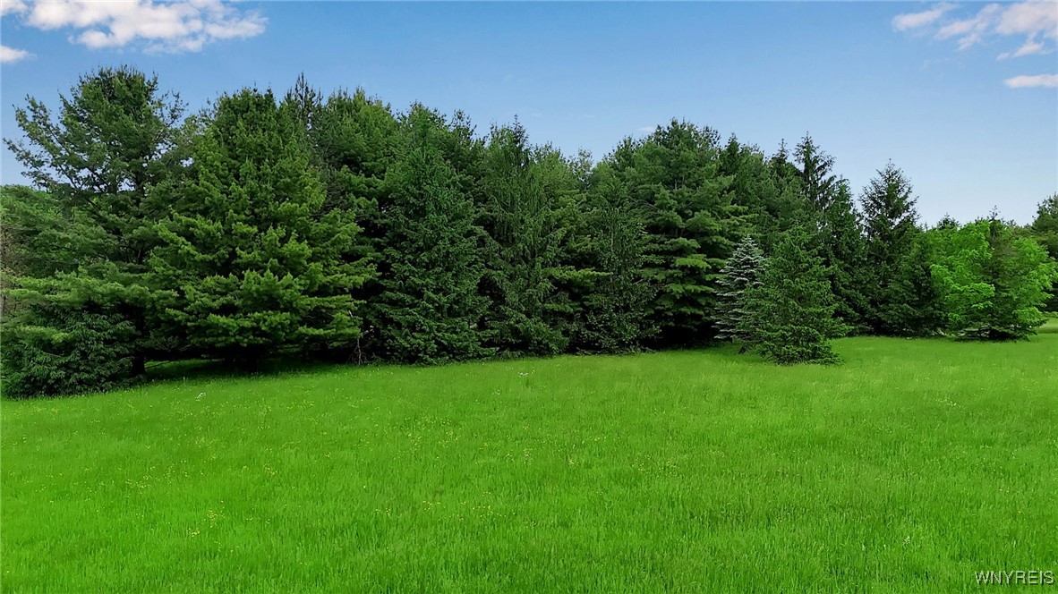 1160 Underhill Road, Aurora, New York image 8