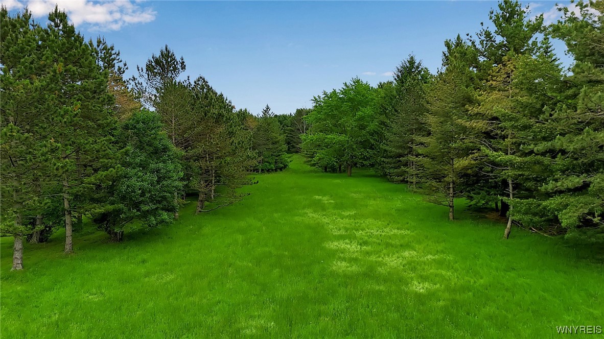 1160 Underhill Road, Aurora, New York image 5