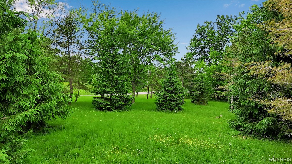 1160 Underhill Road, Aurora, New York image 9
