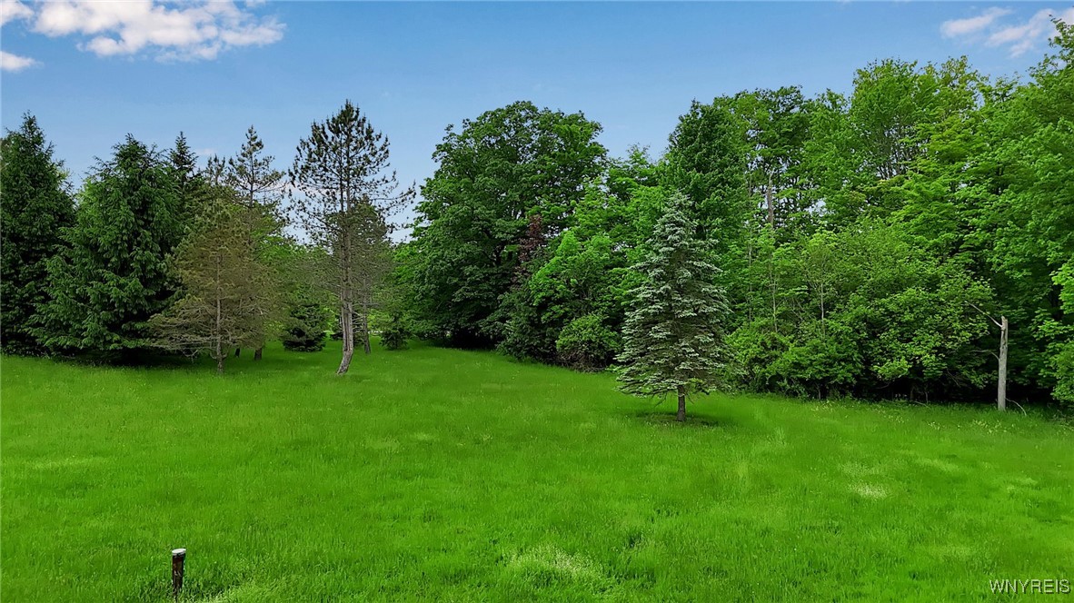 1160 Underhill Road, Aurora, New York image 23
