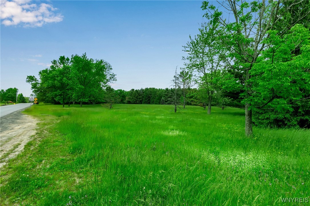 1160 Underhill Road, Aurora, New York image 3