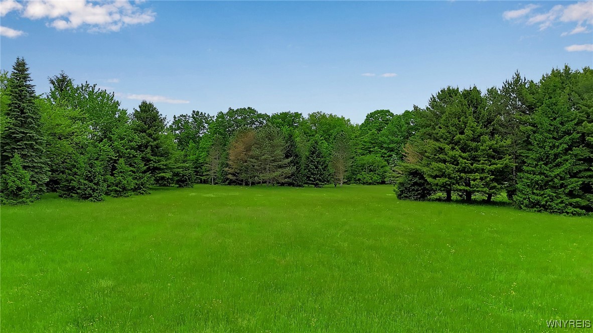 1160 Underhill Road, Aurora, New York image 16