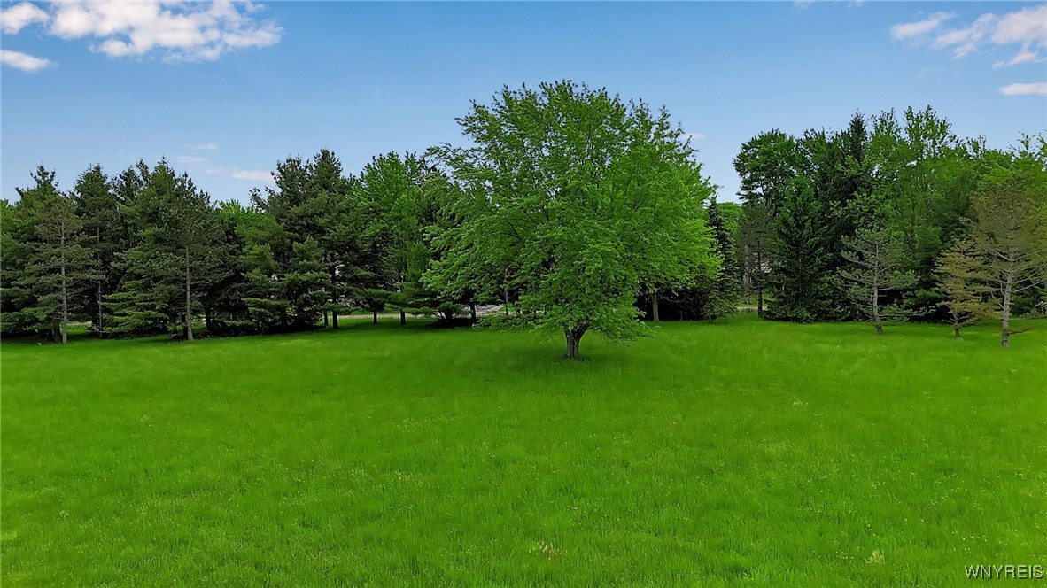 1160 Underhill Road, Aurora, New York image 7