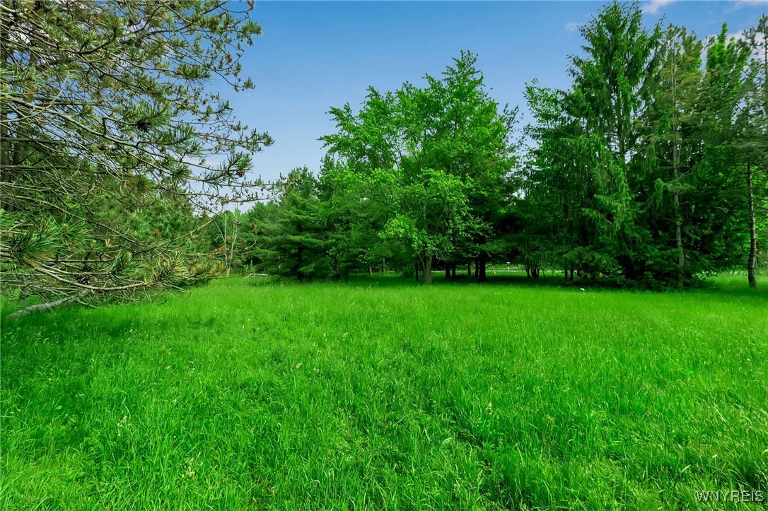 1160 Underhill Road, Aurora, New York image 28