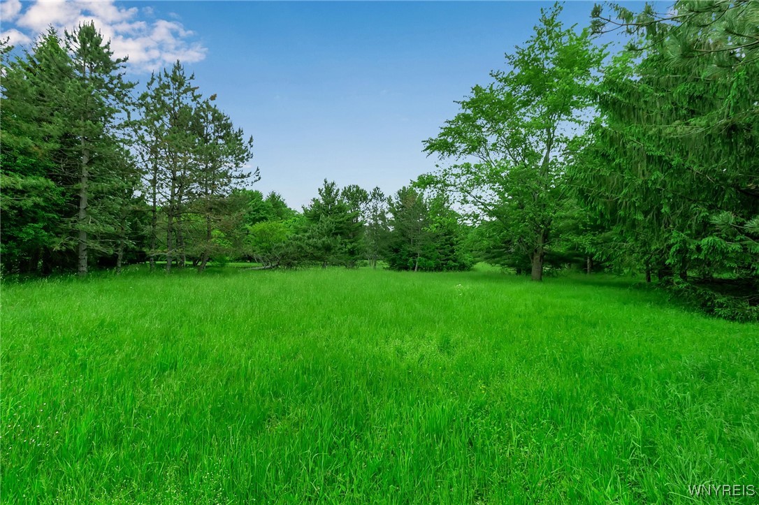 1160 Underhill Road, Aurora, New York image 27