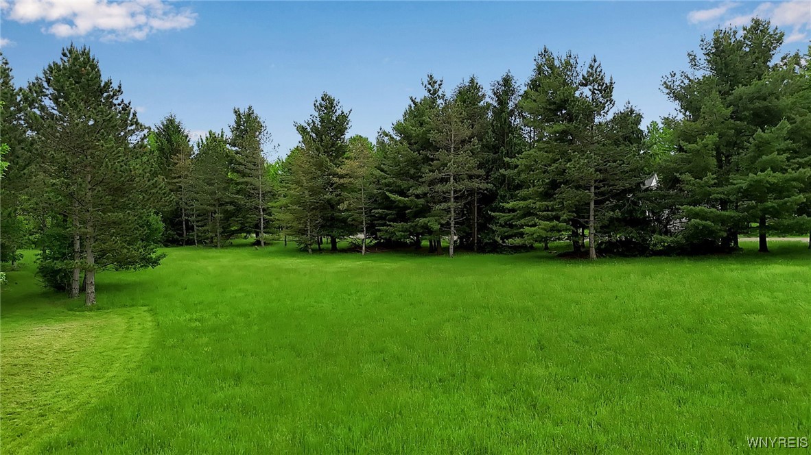 1160 Underhill Road, Aurora, New York image 22