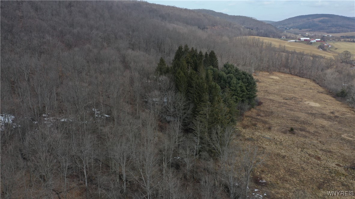 9 Sundance Road, Ellicottville, New York image 5