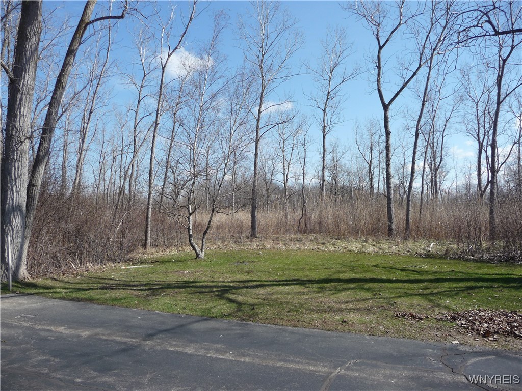 46 Pebble Creek Drive, Cheektowaga, New York image 27