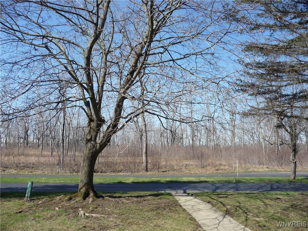 46 Pebble Creek Drive, Cheektowaga, New York image 26