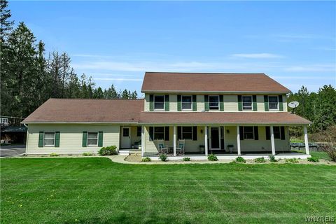 Homes For Sale - 10819 Warner Gulf Road<br/> Erie County, Sardinia, NY 14030