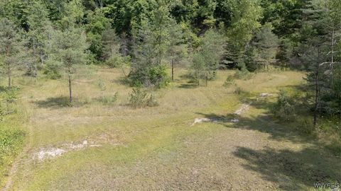 Vacant Land For Sale - VL 20.2 21 23 Knapp Road<br/> Colden, NY 14033