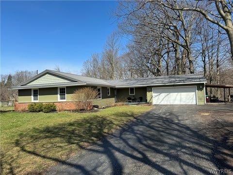 Homes For Sale - 6668 Milestrip Road<br/> Orchard Park, NY 14127
