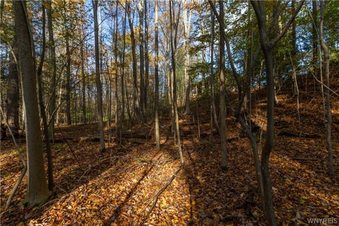 Tiny photo for 1025 Sweet Road, Aurora, NY 14052 (MLS # B1724464)