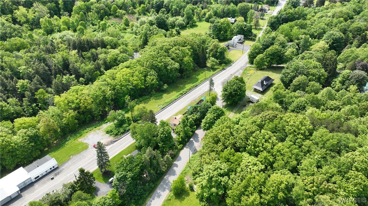 V/L Davis Road, Aurora, New York image 5