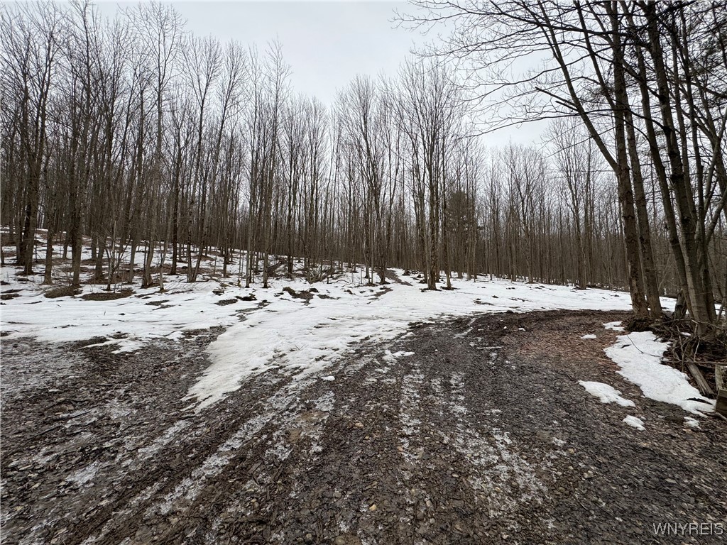 Cr-3, Centerville, New York image 4